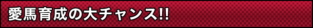 n琬̑`X!!