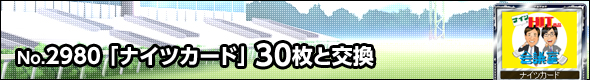 No.2980@iCcJ[h@30ƌ\