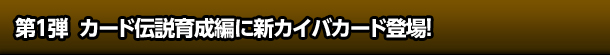 Pe J[h`琬҂ɐVJCoJ[hoI