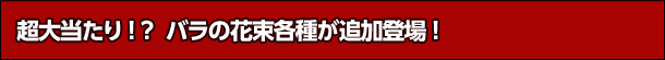 哖IHỏԑe킪ǉoI