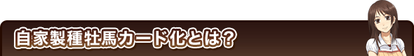 自家製種牡馬カード化とは?