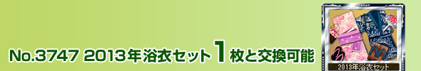 No.3747@2013N߃Zbg 1ƌ\