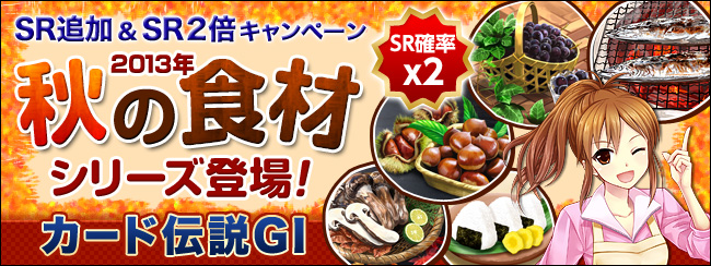 SRǉI&SR2{Ly[J[h`GⅠ 2013NH̐HރV[YoI