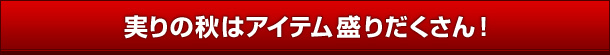 ̏H̓ACe肾I
