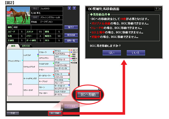 馬のBCへの移動