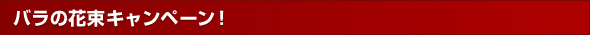 ỏԑLy[I