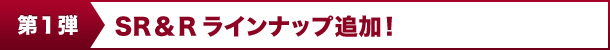 SR&RCibvǉI