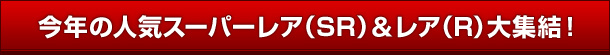 N̐lCX[p[AiSR)AiR)WI
