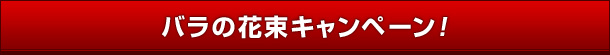 ỏԑLy[I