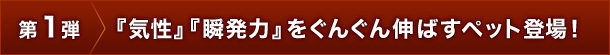 CAu͂񂮂L΂ybgoI