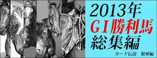 2013NGⅠnGETI