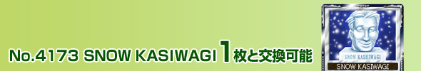 No.4173 SNOW KASIWAGI 1ƌ\