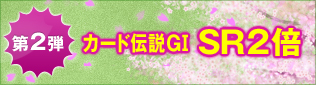 2e J[h`GⅠ SR2{