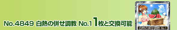 No.4849 M̕ No.1 1ƌ\