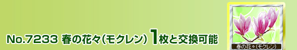 t̉ԁX(N)