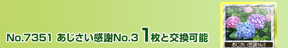 No3 1ƌ\