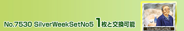 SilverWeekSetNo5 1ƌ\