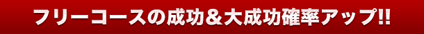 S[hR[X̑听mR{II
