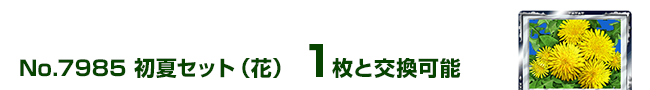 ăZbgiԁj 1ƌ\