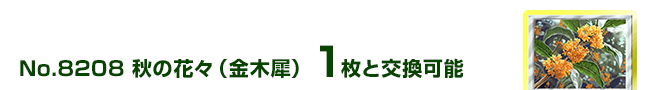 H̉ԁX(؍) 1ƌ\