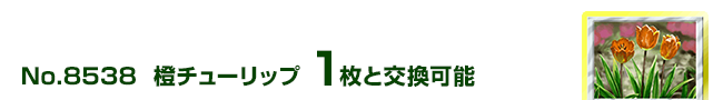 `[bv 1ƌ\