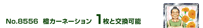 J[l[V 1ƌ\