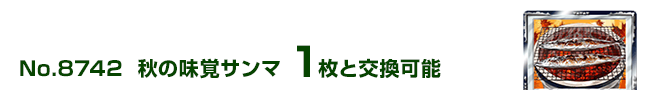 H̖oT} 1ƌ\