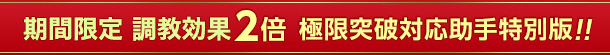 期間限定 調教効果2倍