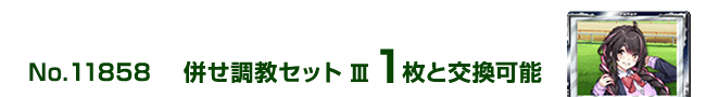���������Z�b�g�V 1���ƌ����\
