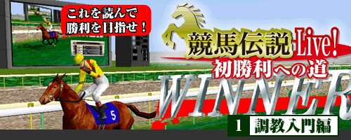 n`LiveIւ̓