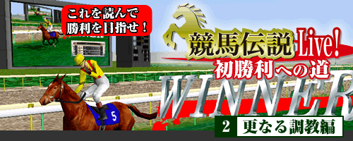 XȂ钲