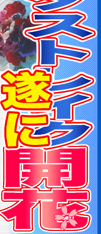 X^[_XgCN@ɊJԁI