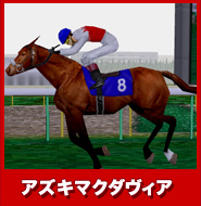 アズキマクダヴィア