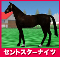 セントスターナイツ