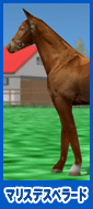 マリスデスペラード