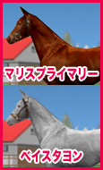 マリスプライマリー / ベイスタヨン