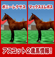 ポニーレクサス/マックスエレボス