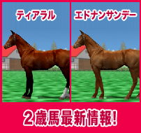 エドナンサンデー / ティアラル