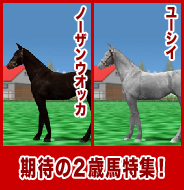ノーザンウオッカ / ユーシイ