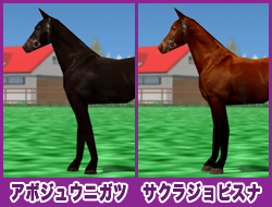 アボジュウニガツ / サクラジョビスナ