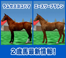 ラムセスヨコハマ / エースツープラトン