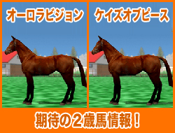 オーロラビジョン / ケイズオブピース