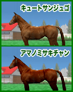 キュートサンジュゴ / アマノミサキチャン