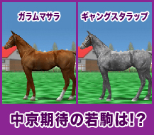 ガラムマサラ / ギャングスタラップ
