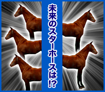 未来のスターホースは!?
