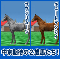 サファリムーン/キュートマンカイ