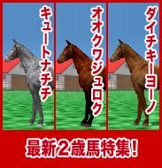 ダイチキーヨーノ/オオクワジュロク/キュートナチチ