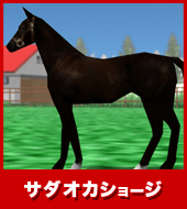 サダオカショージ