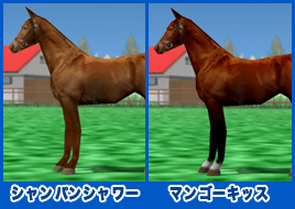 マンゴーキッス / シャンパンシャワー