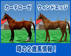 ウィンドエッジ / カーテローゼ